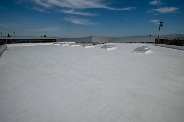 Best Steel Roofing  in Towson, MD
