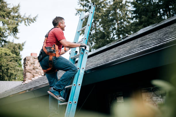 Best Roof Waterproofing  in Towson, MD